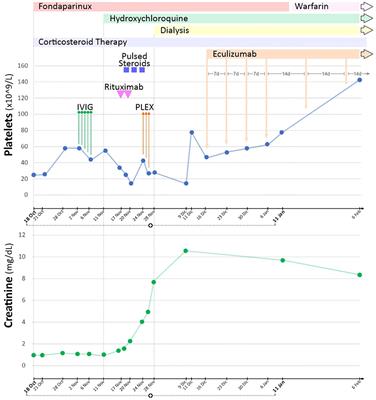 Case report: Timing of eculizumab treatment in catastrophic antiphospholipid syndrome